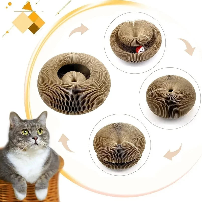 Foldable Magic Organ Cat Scratching Board – Durable Recyclable Cardboard Cat Scratcher & Bed | Interactive Toy for Kittens to Play, Scratch & Relax
