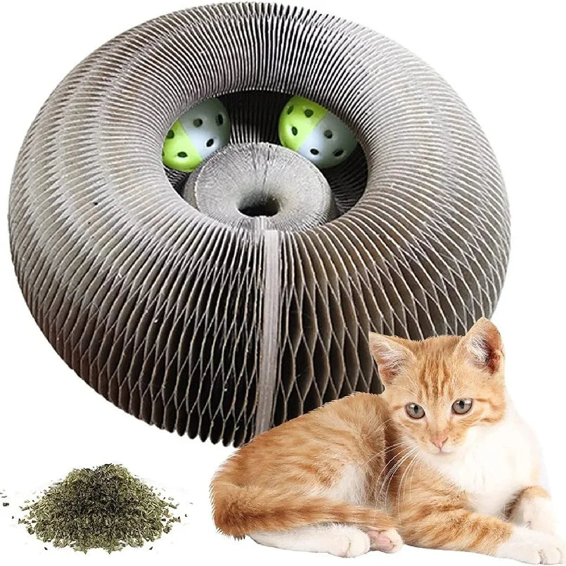 Foldable Magic Organ Cat Scratching Board – Durable Recyclable Cardboard Cat Scratcher & Bed | Interactive Toy for Kittens to Play, Scratch & Relax
